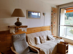 Charmant 2P 35m² Sud, Pied des Pistes, Balcon, Parking, 4 Pers, Ascenseur, Animations, Villard-de-Lans - FR-1-689-114